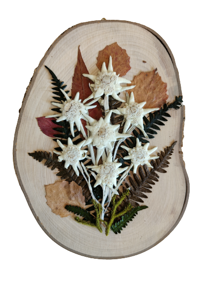 Hand decorated wooden slice with real edelweiss