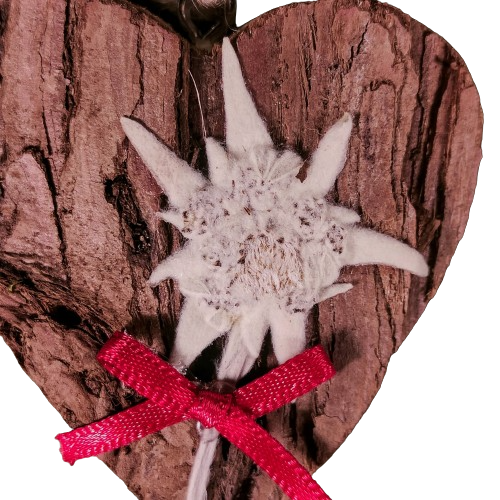 Heart in wood and bark decorated by hand with real edelweiss