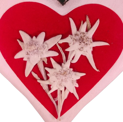 Cuore con stelle alpine